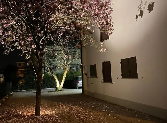 게스트하우스 Casa Bellodi